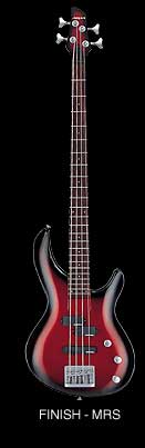 igb50_01.jpg